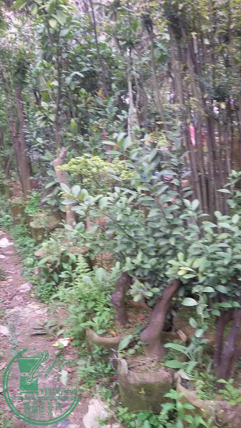 20150316_171428.jpg