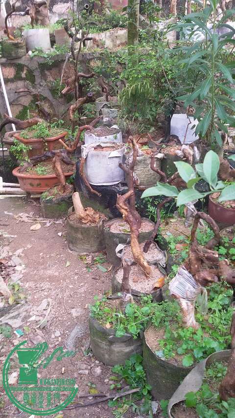 20150316_171645.jpg