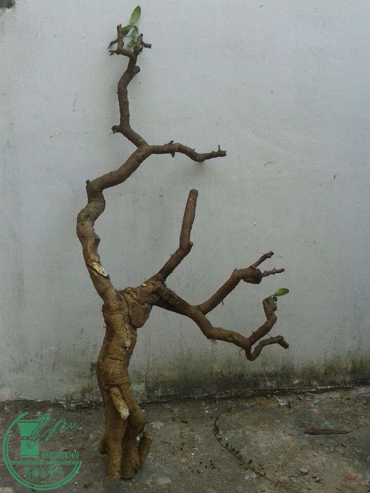 QQͼƬ20150316151943.jpg