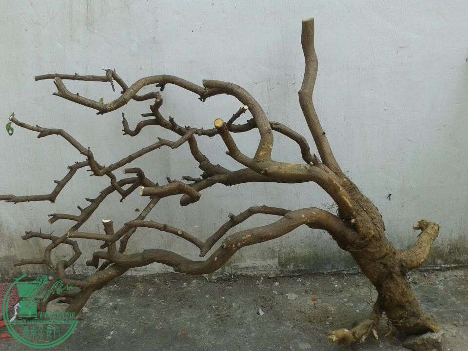 QQͼƬ20150316152015.jpg