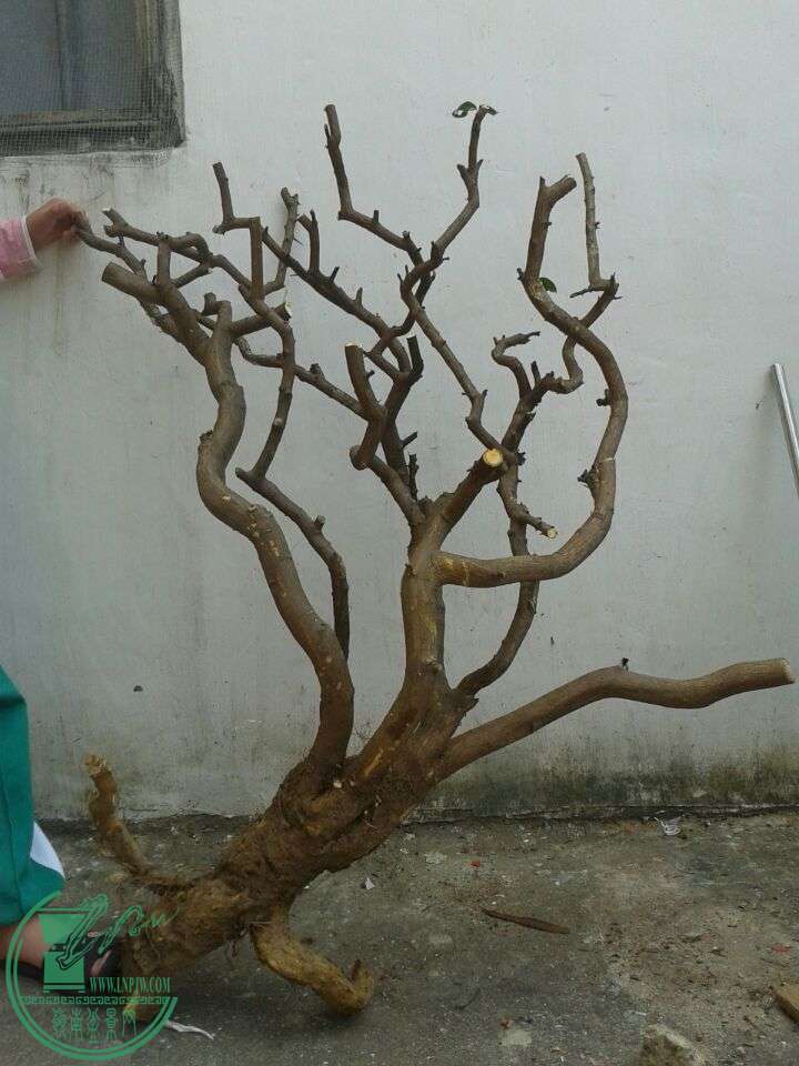 QQͼƬ20150316152027.jpg