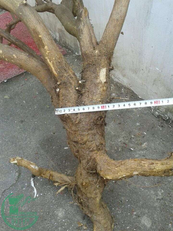 QQͼƬ20150316152030.jpg