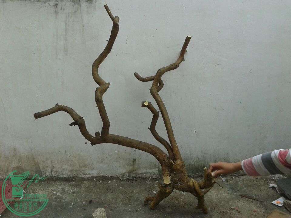 QQͼƬ20150316152039.jpg
