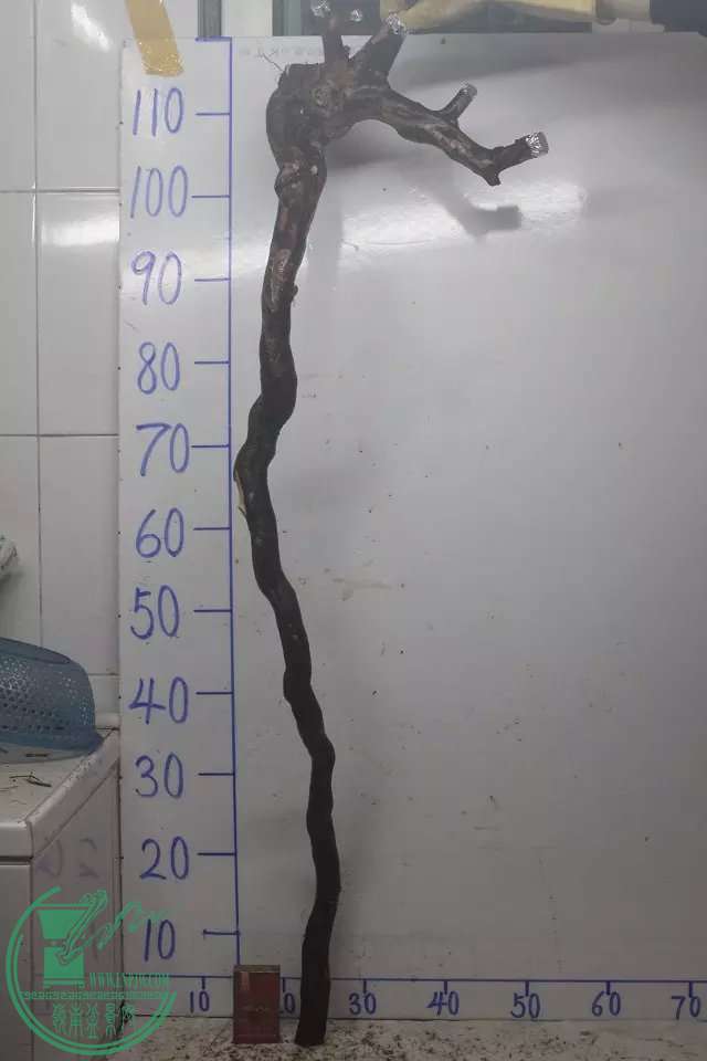 psb (2).jpg