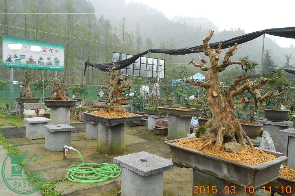 38辰԰2.jpg