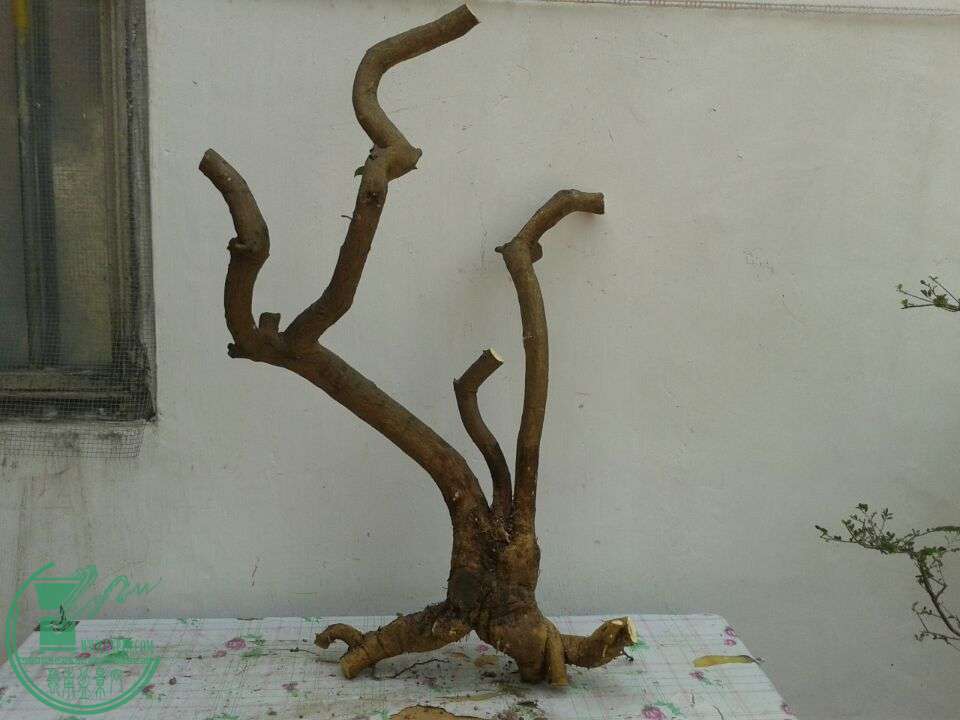 QQͼƬ20150317124203.jpg