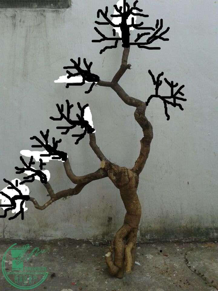 QQͼƬ20150316151935_.jpg