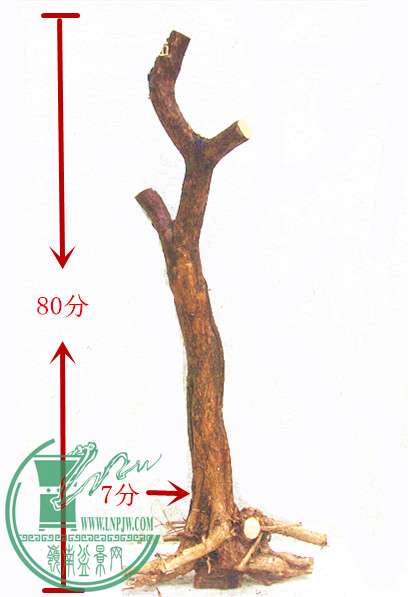 Ƭ 040_.jpg