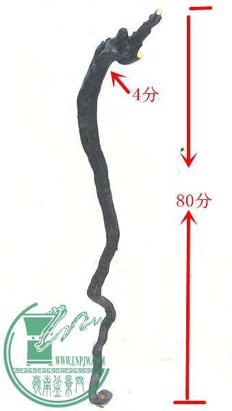 Ƭ 045_2.jpg