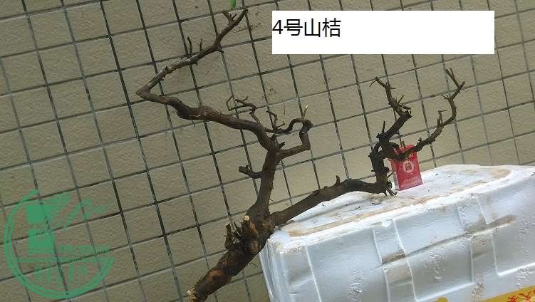 QQͼƬ20150317192135.jpg