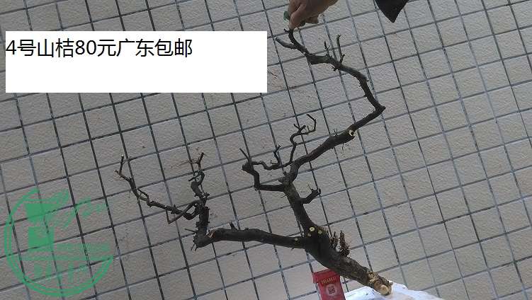 QQͼƬ20150317192140.jpg