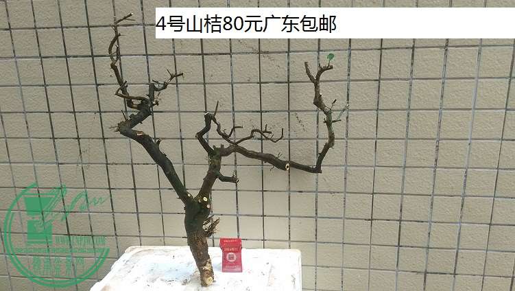 QQͼƬ20150317192145.jpg