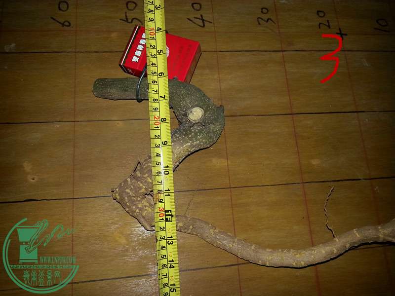 20150317_183117.jpg
