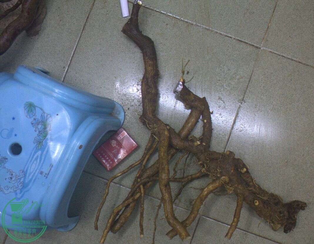 QQͼƬ20150318020842.jpg