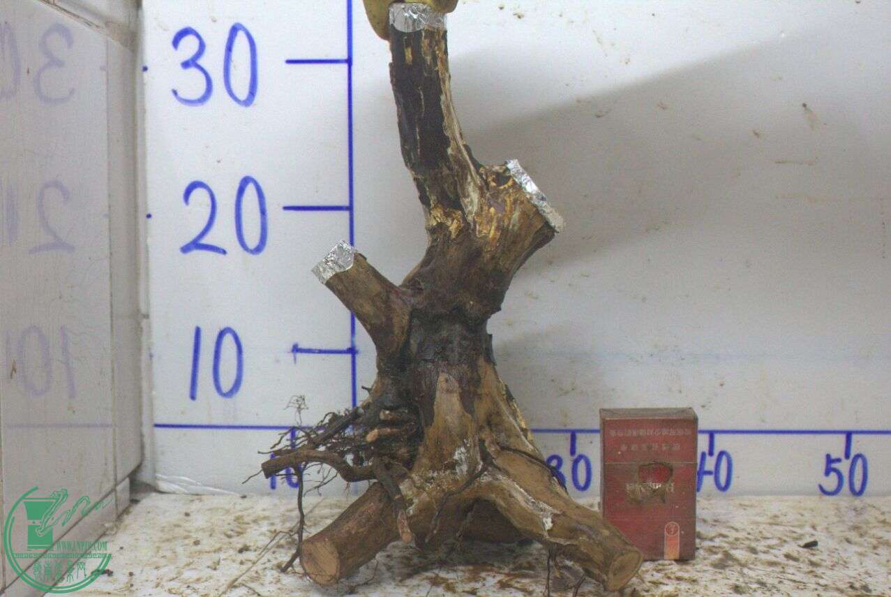 QQͼƬ20150317234322.jpg