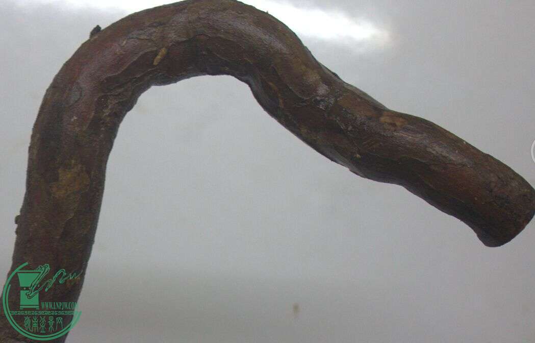 QQͼƬ20150318023112.jpg