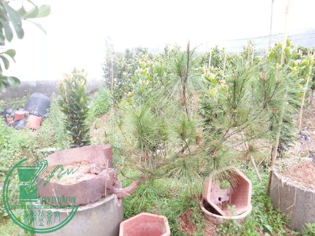 20150315_150339.jpg