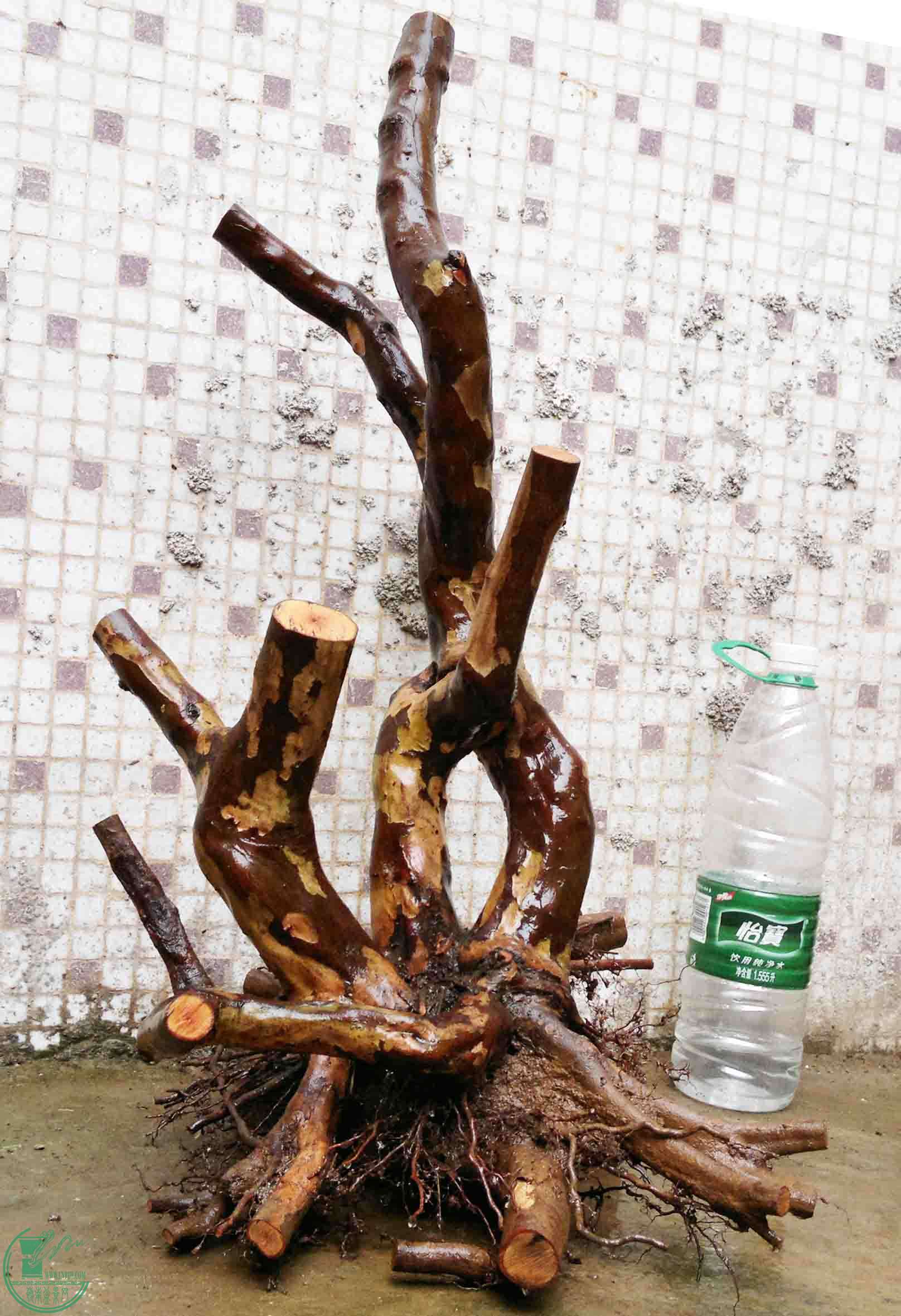 201102193522.jpg