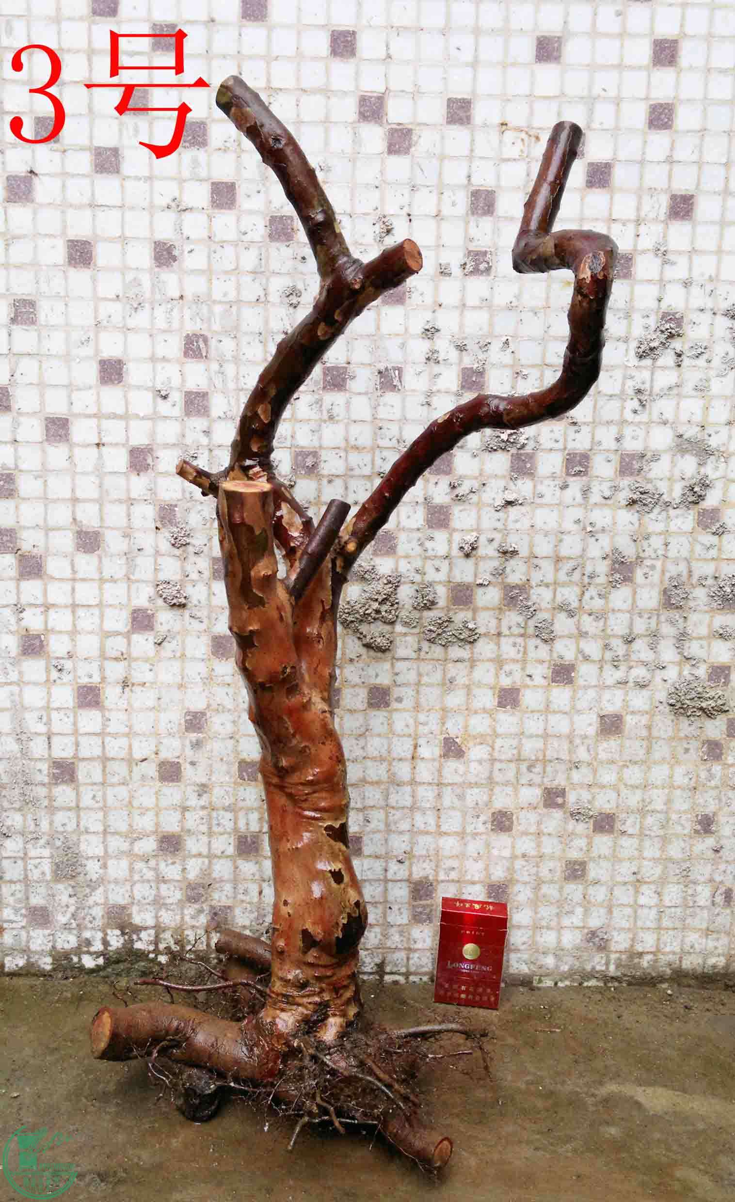 201102193509.jpg