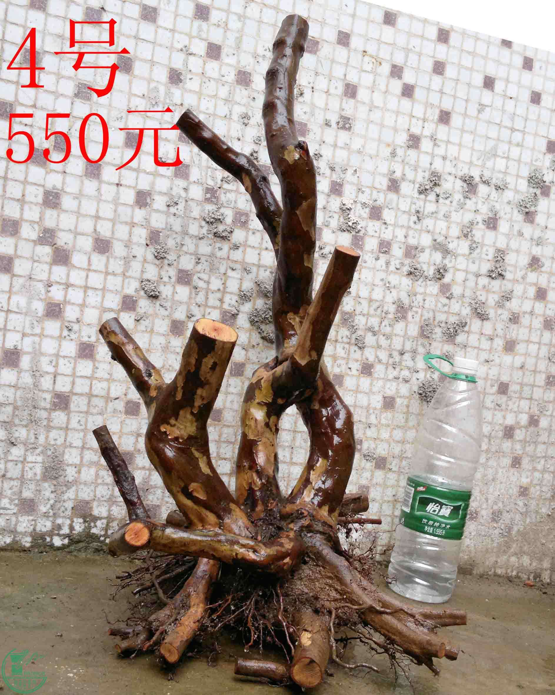 201102193522.jpg