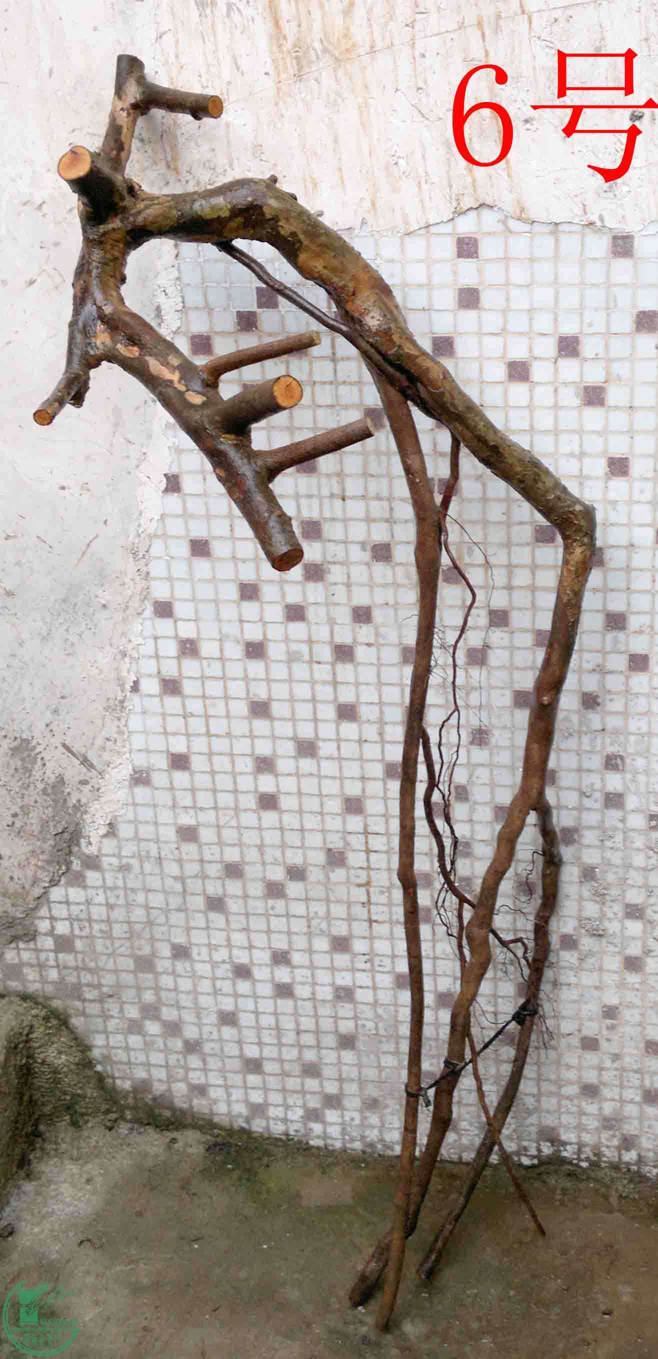 201102193573.jpg