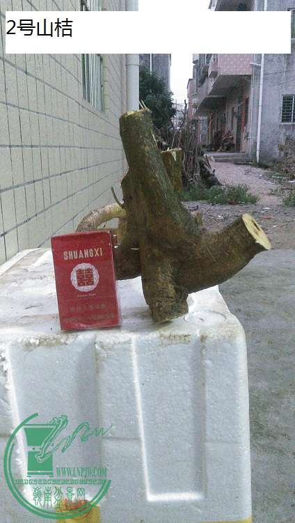 QQͼƬ20150319203253.jpg