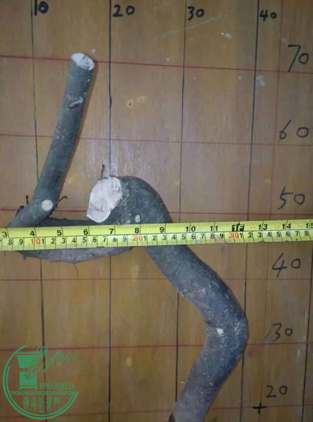 100