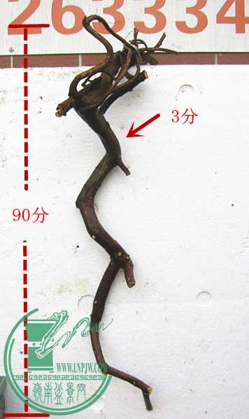 Ƭ 052_1.jpg