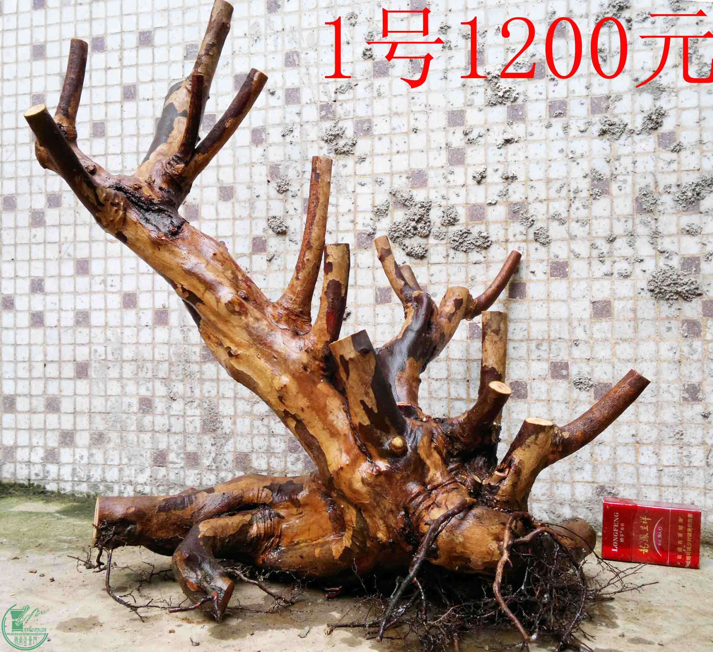 201503213712.jpg