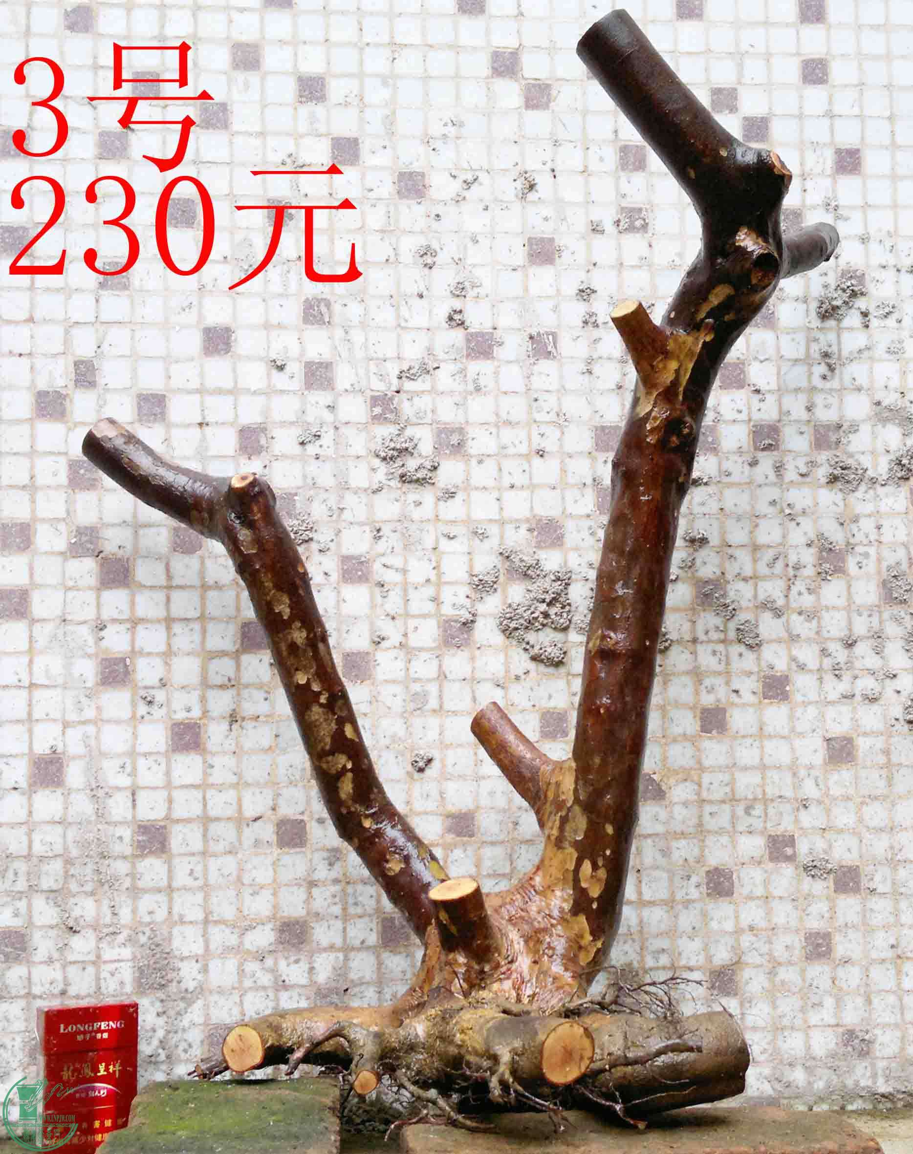 201503213744.jpg