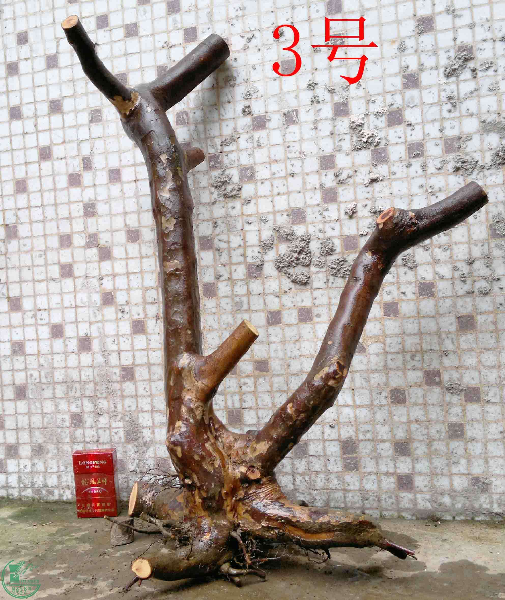 201503213748.jpg