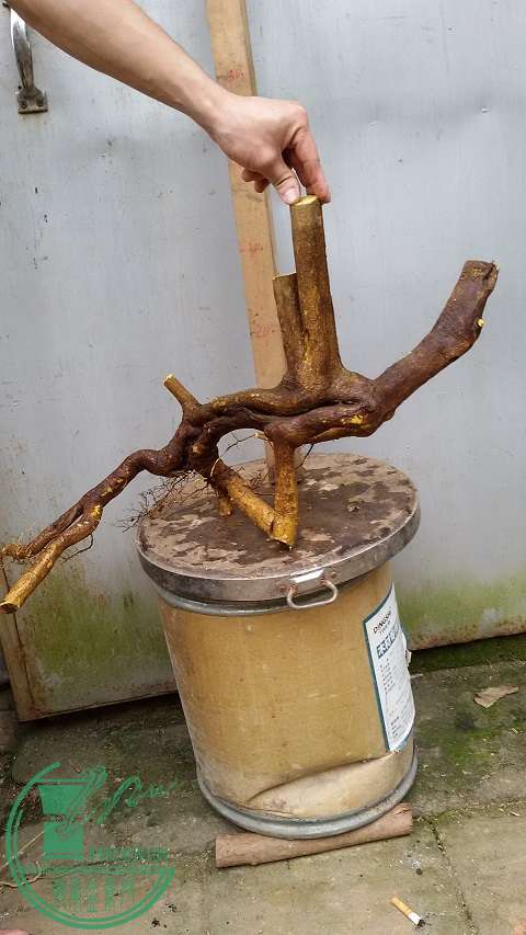 20150323_152929.jpg