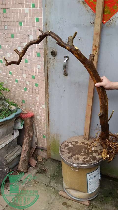 20150323_151746.jpg