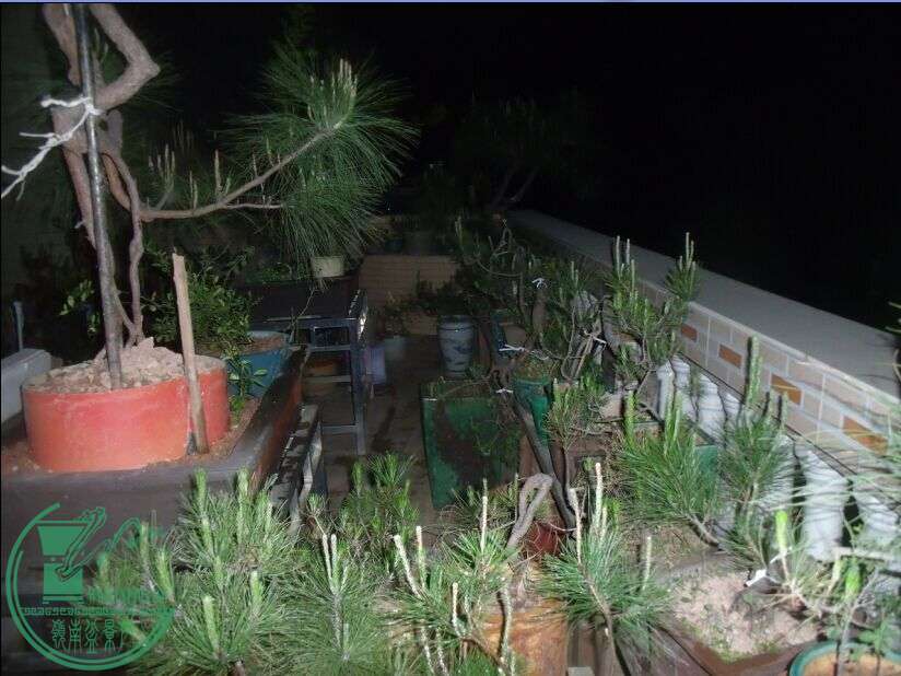 55.jpg