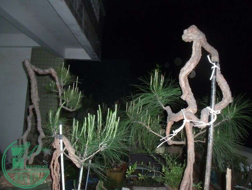 56.jpg
