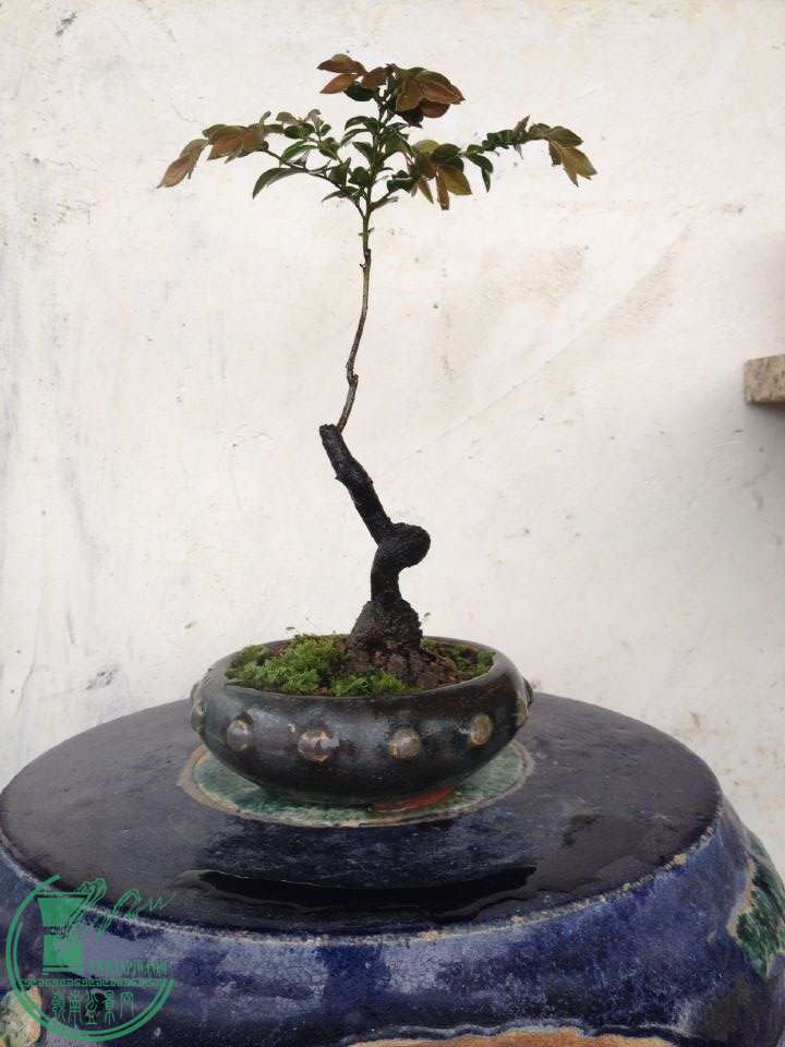 QQͼƬ20150323232034.jpg
