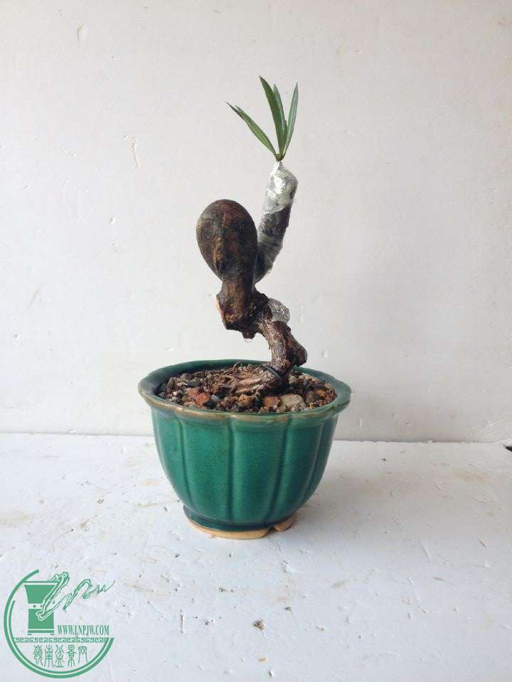 QQͼƬ20141005114122.jpg