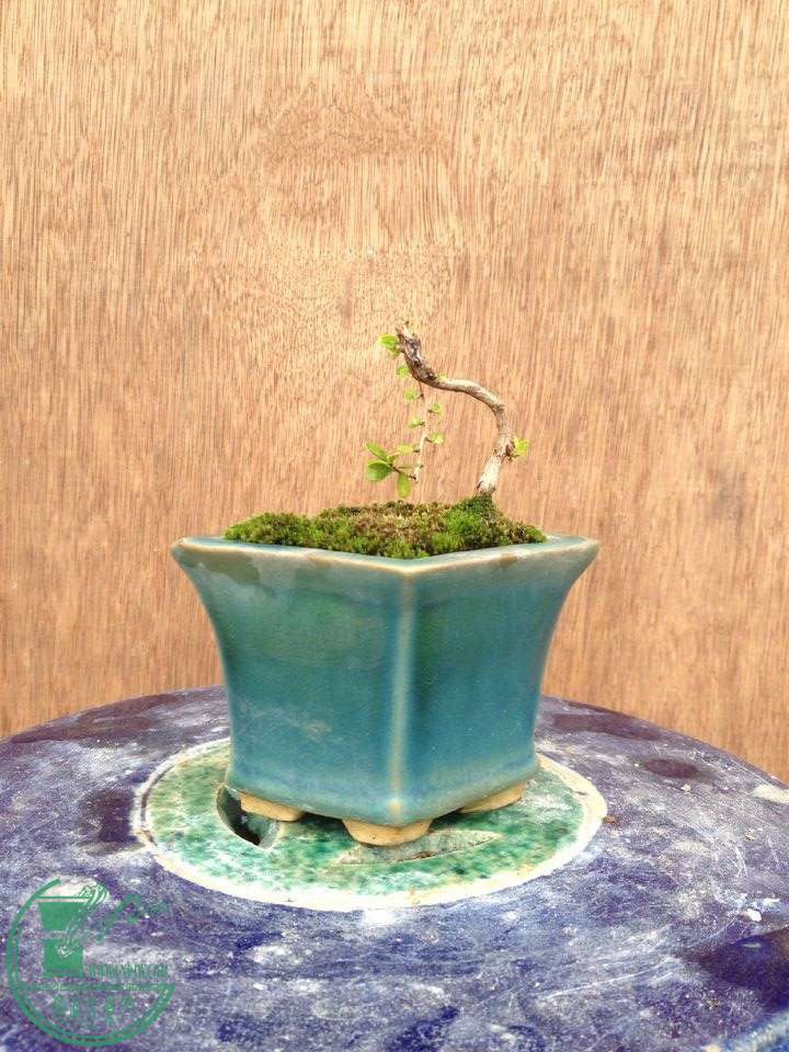 QQͼƬ20150218122210.jpg