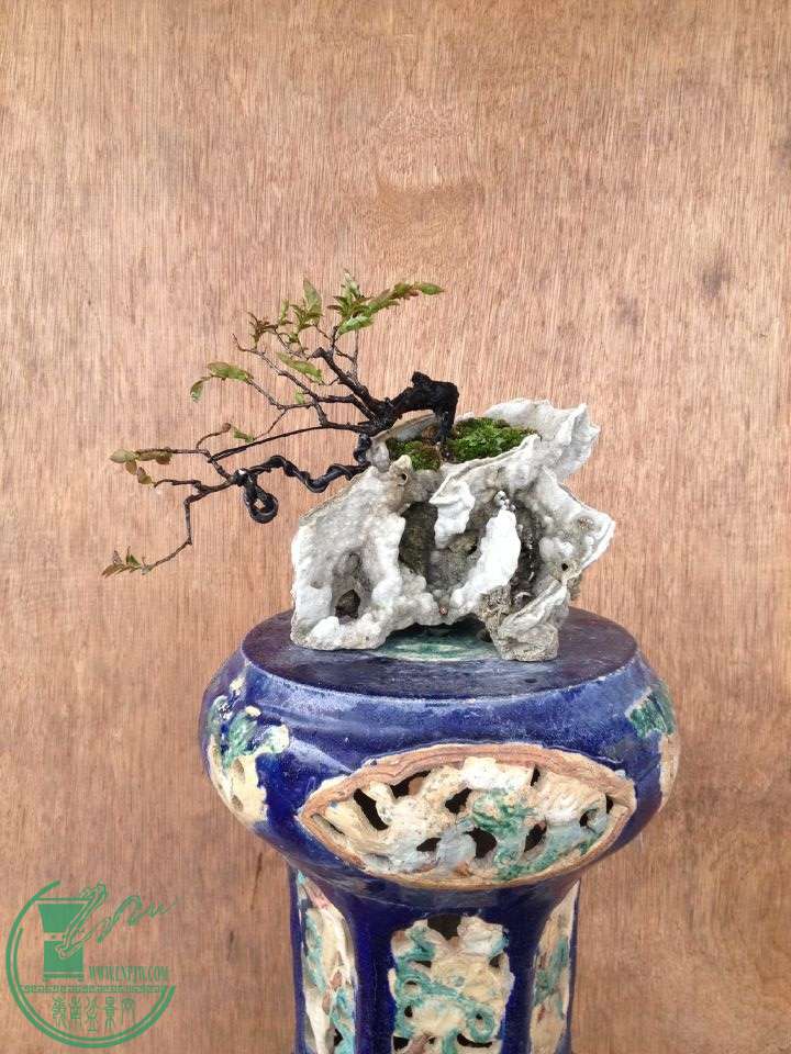 QQͼƬ20150228235717.jpg