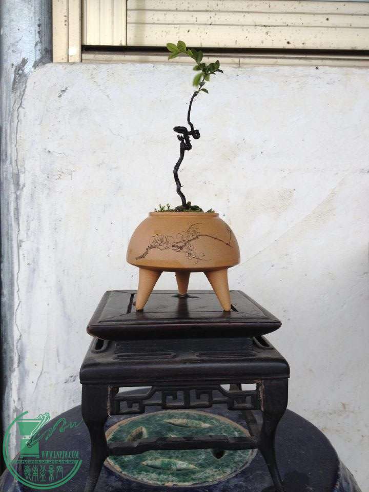 QQͼƬ20150323232030.jpg
