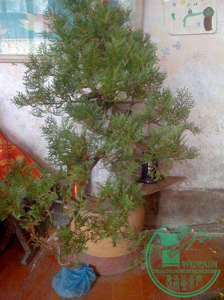 IMG0311115800.jpg