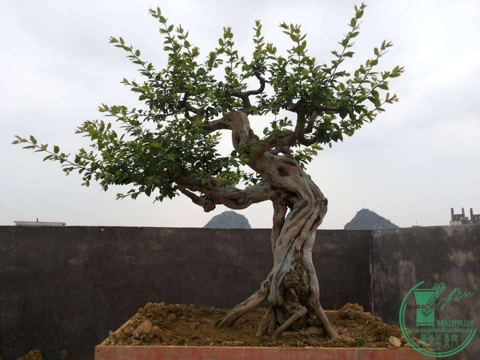 20150320_143730__.jpg