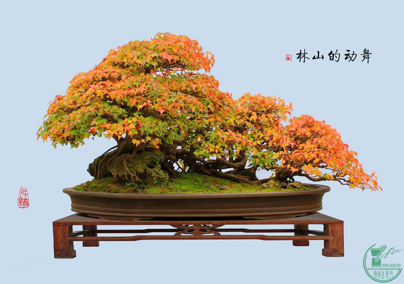 趯ɽ֣ﾰ Ƿ  150-70cm  ־.jpg