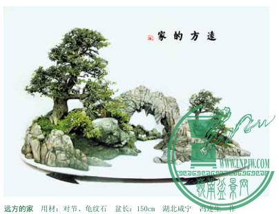 Զļ òģԽڡʯ  賤150cm  .png