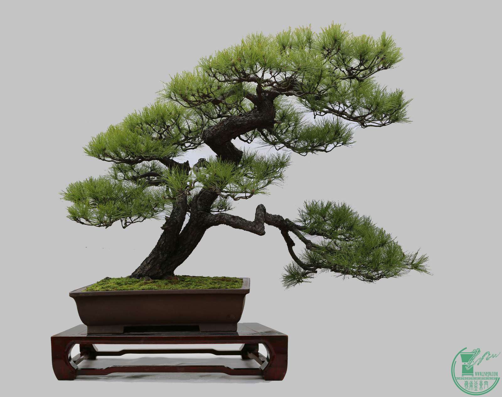 ɷ  òģ  130cm150cm  ־.jpg