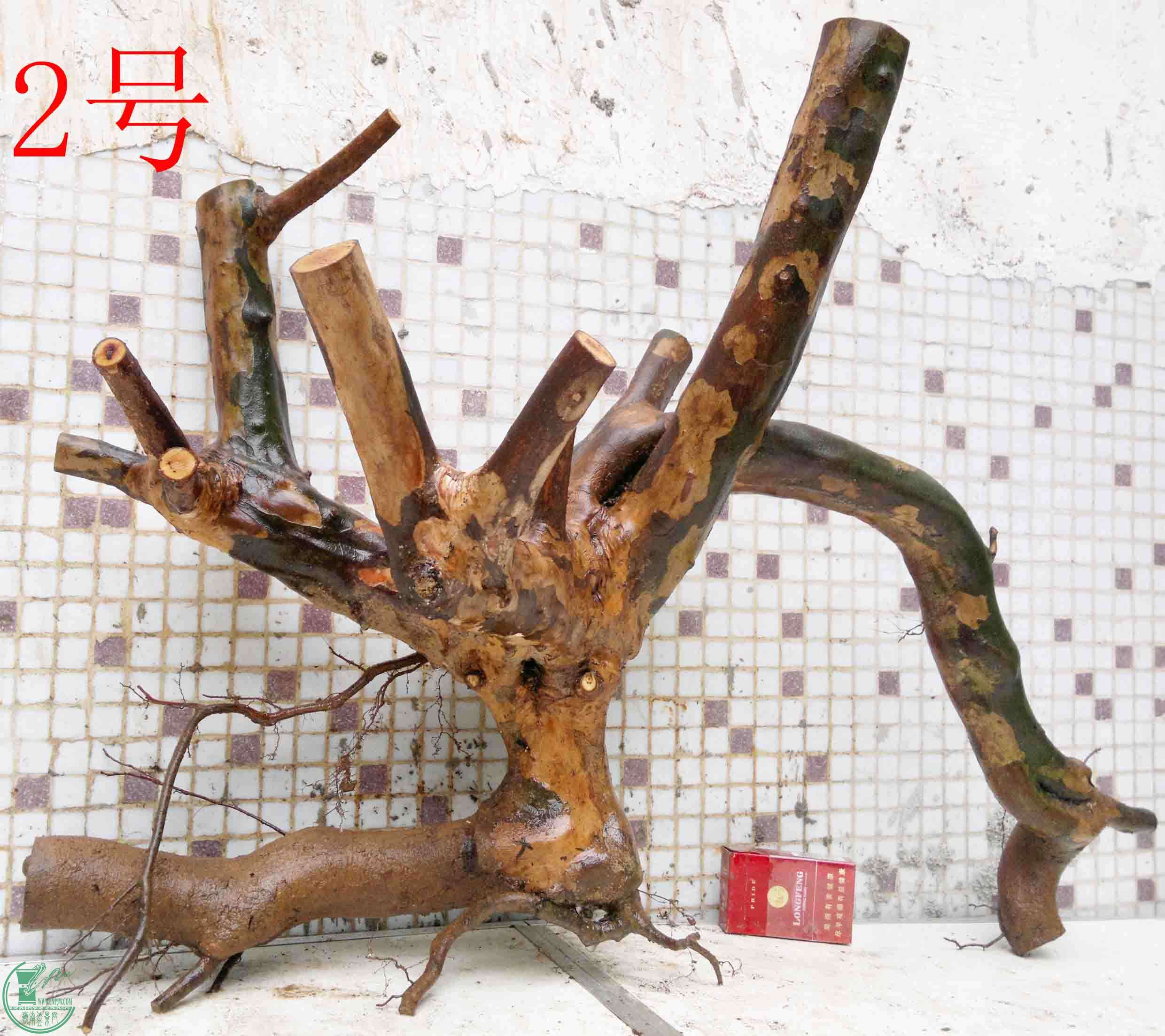 201503284244.jpg
