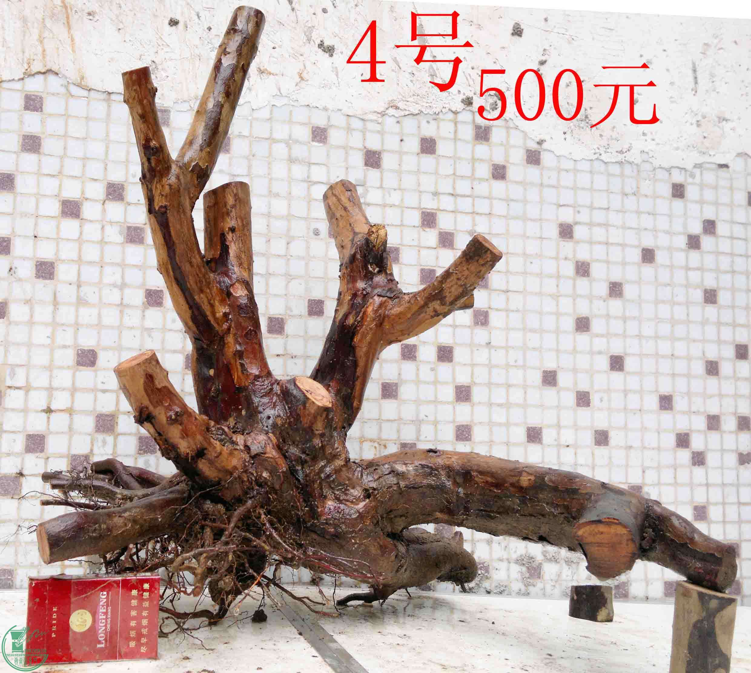 201503284271.jpg