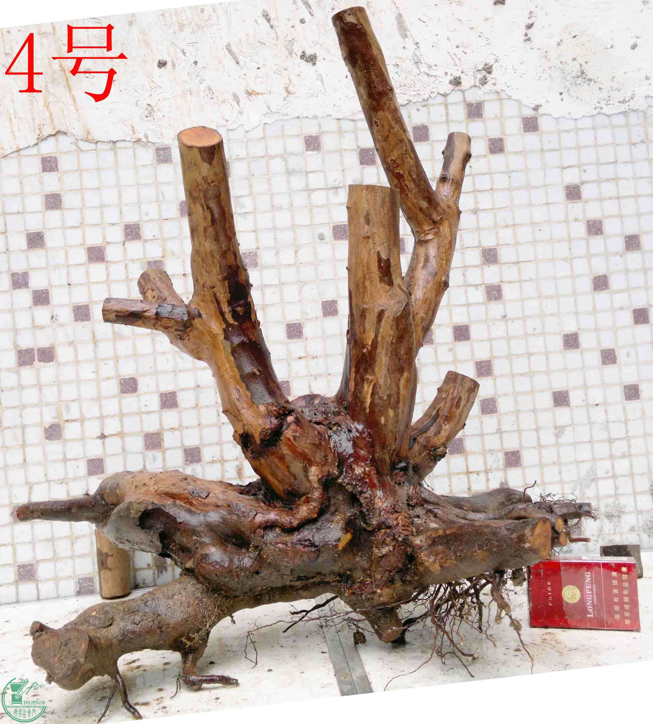 201503284276.jpg