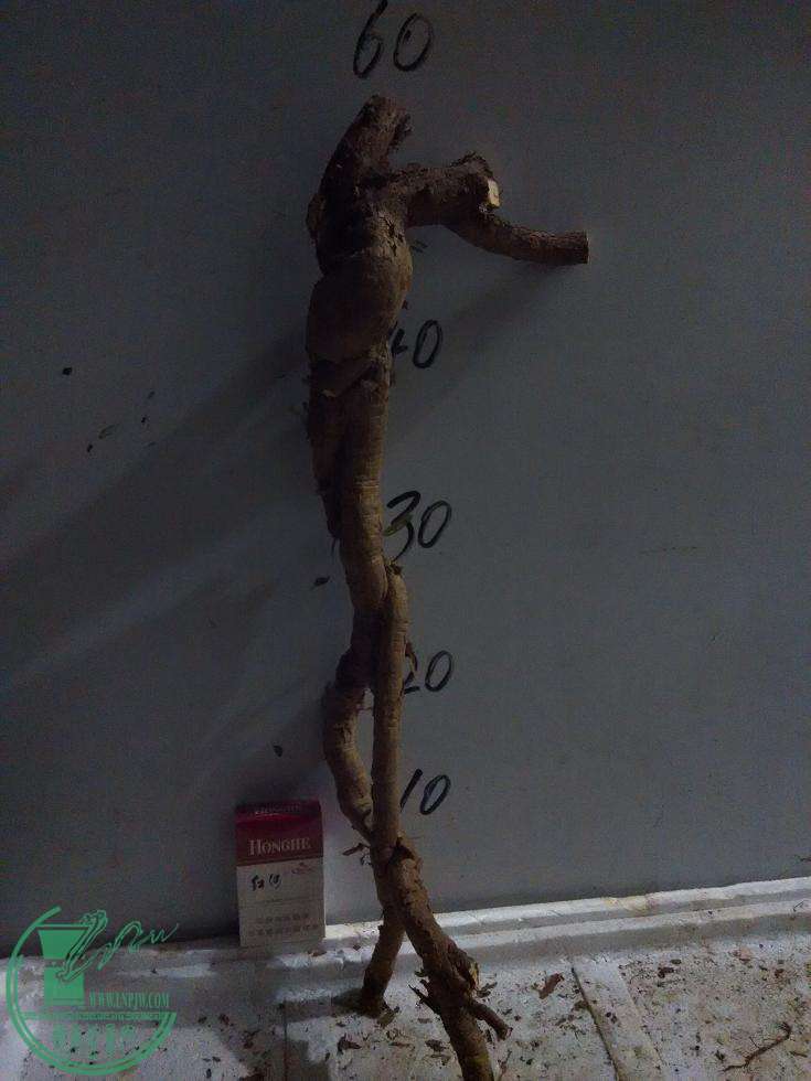 24.jpg