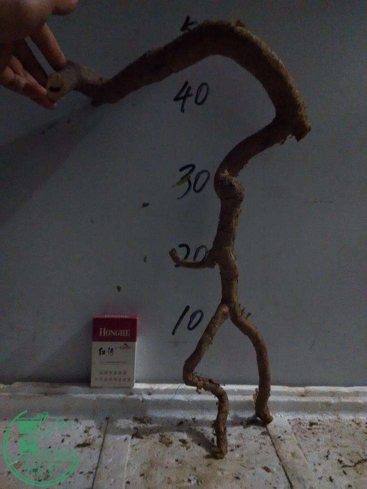 26.jpg